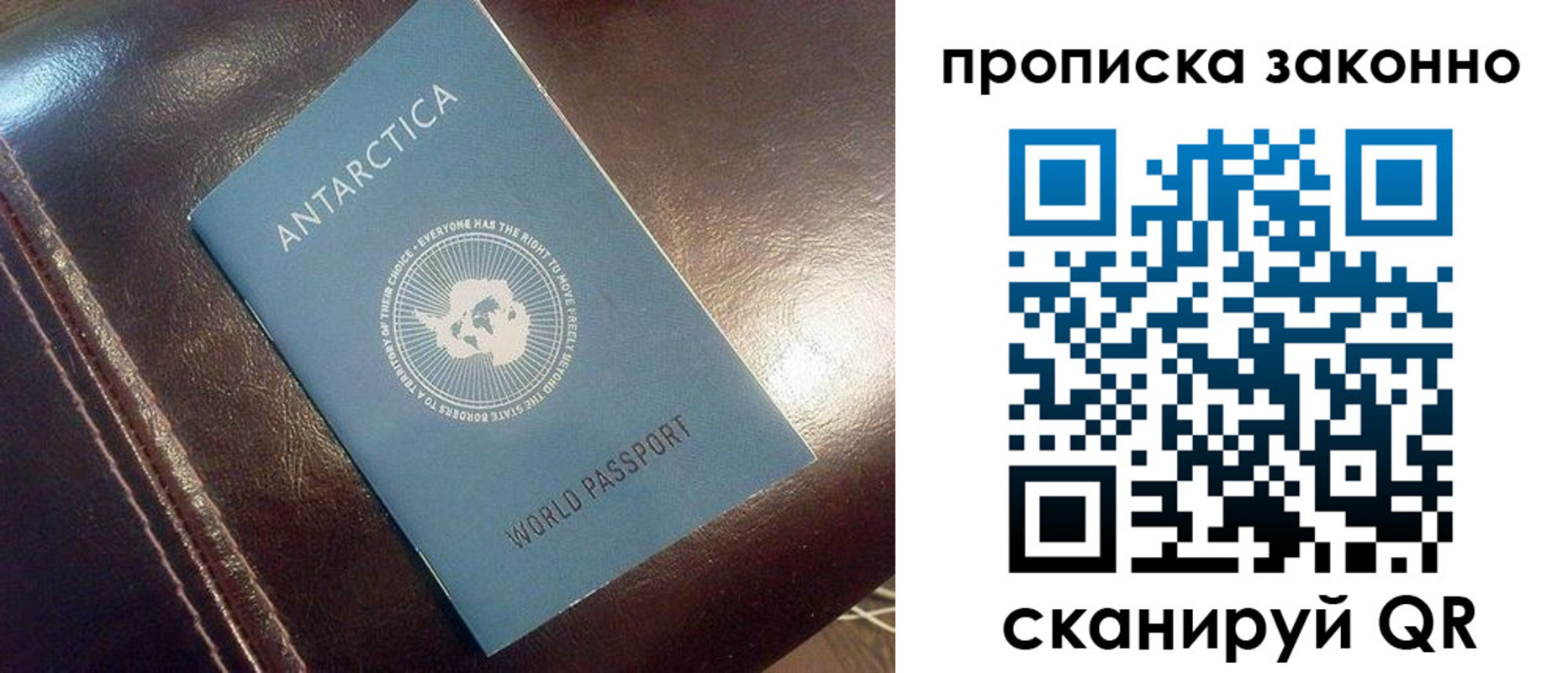 временная регистрация в Фокино